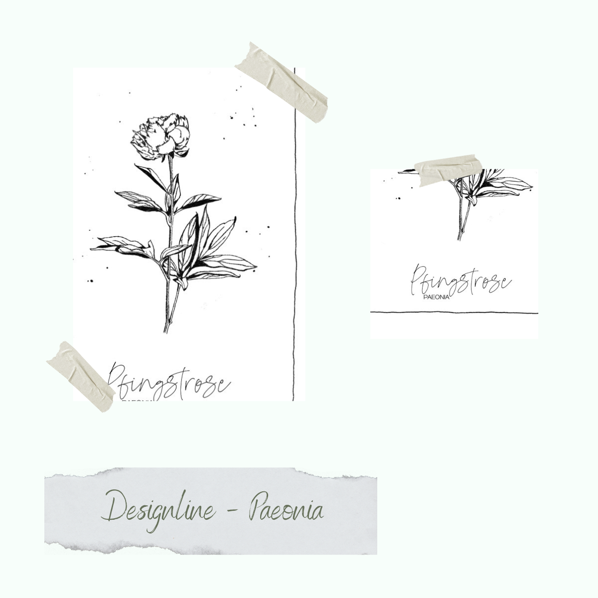 Stempelset - Designline - Paeonia