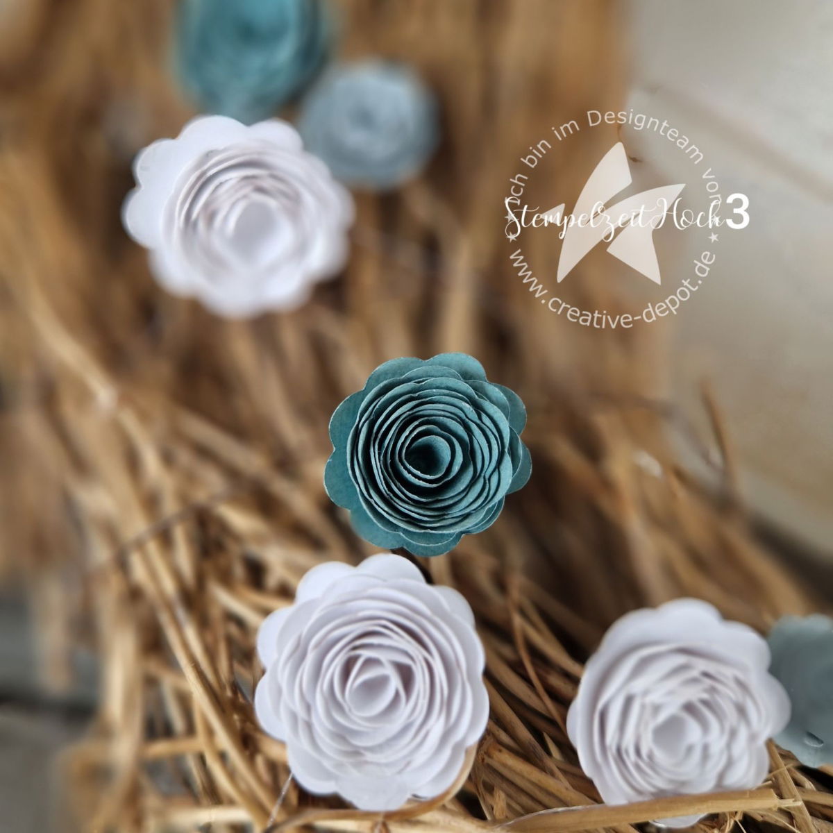 079b29a0-39f1-4db7-992f-5bb06b6ff610