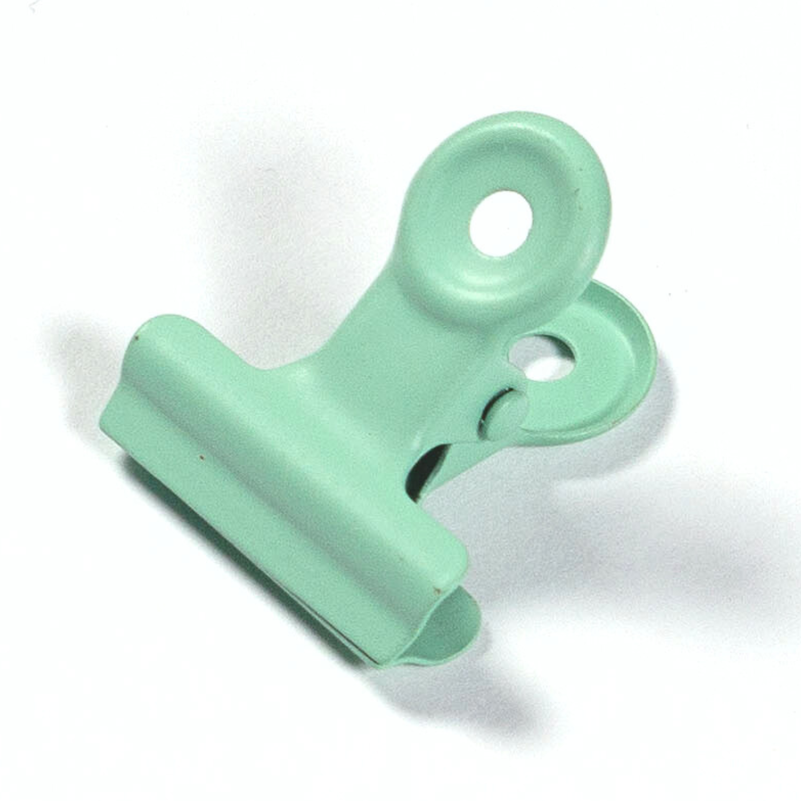 Paper Clip - Eukalyptus