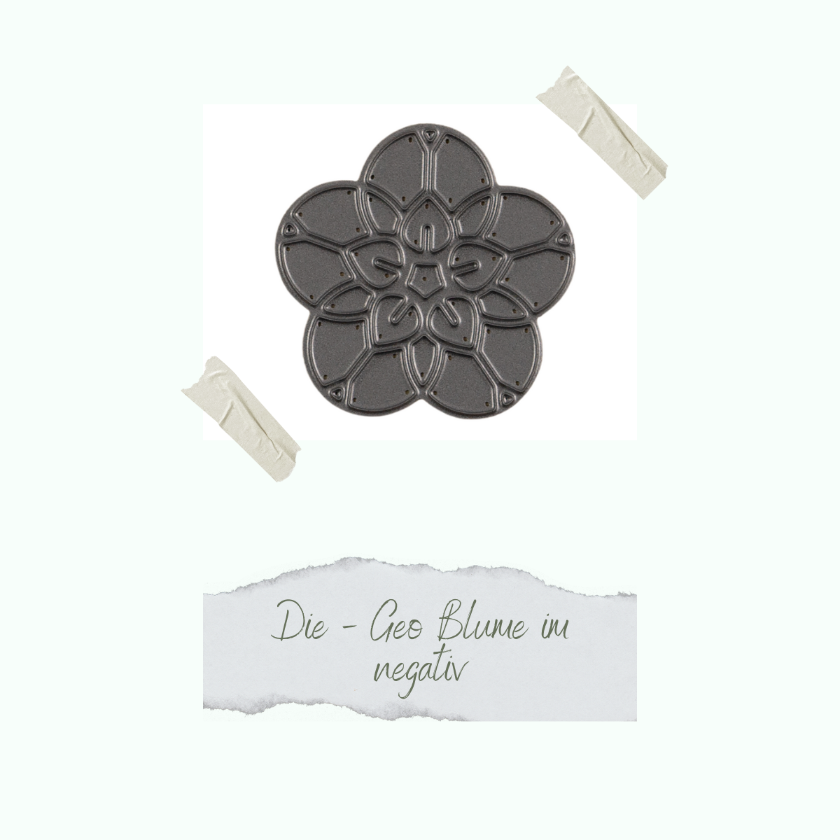 CD-Di-656_Die-Geo-Blume-im-negativ