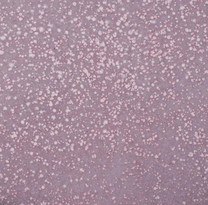 Dappled-Pink-1