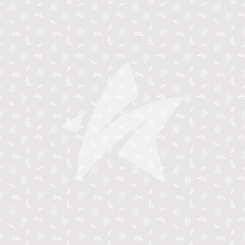 DP-554-Zartes-Wintergrau