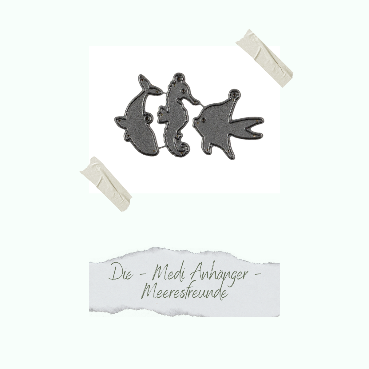CD-Di-420_Die-Medi-Anh-nger-Meeresfreunde