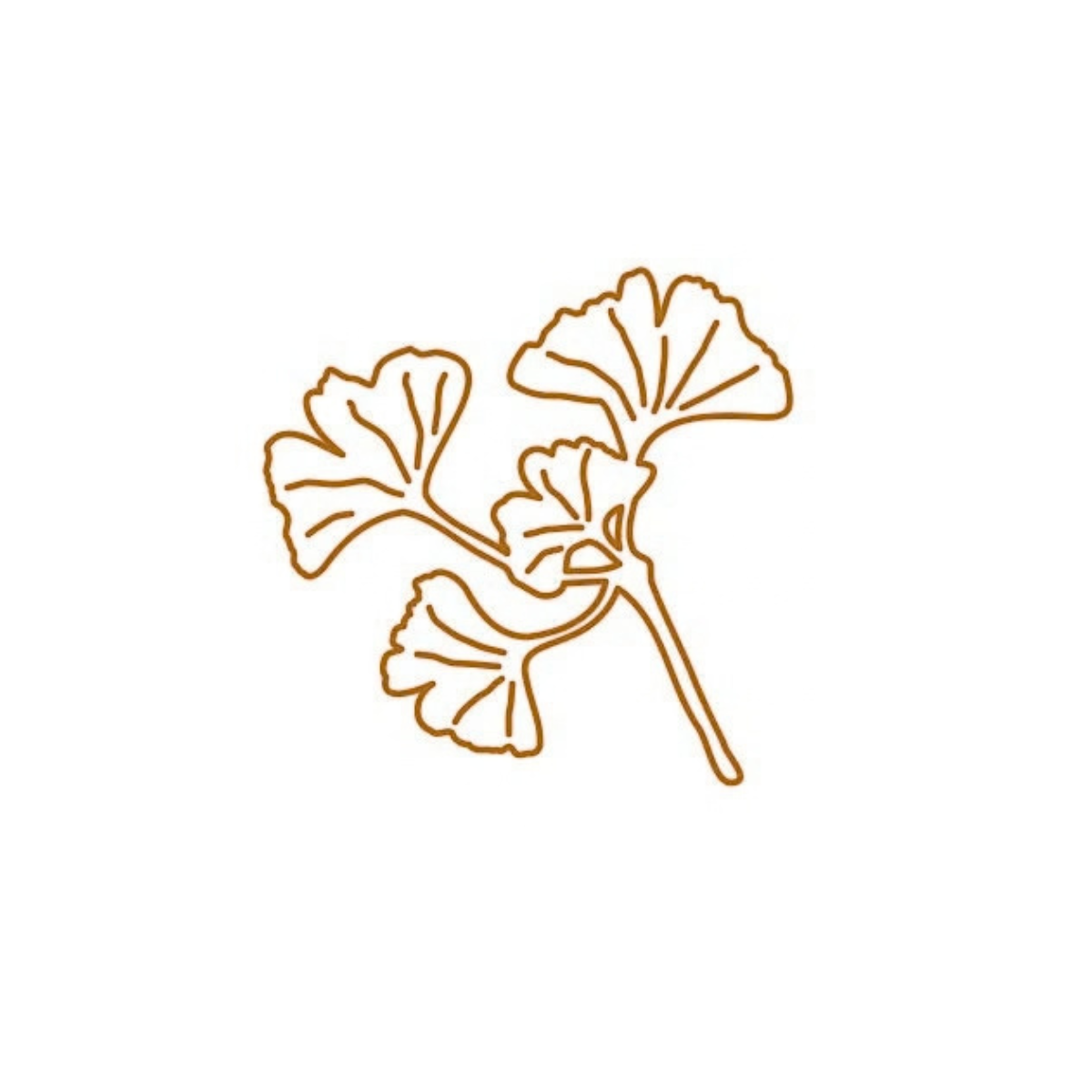Die – Ginkgo branch