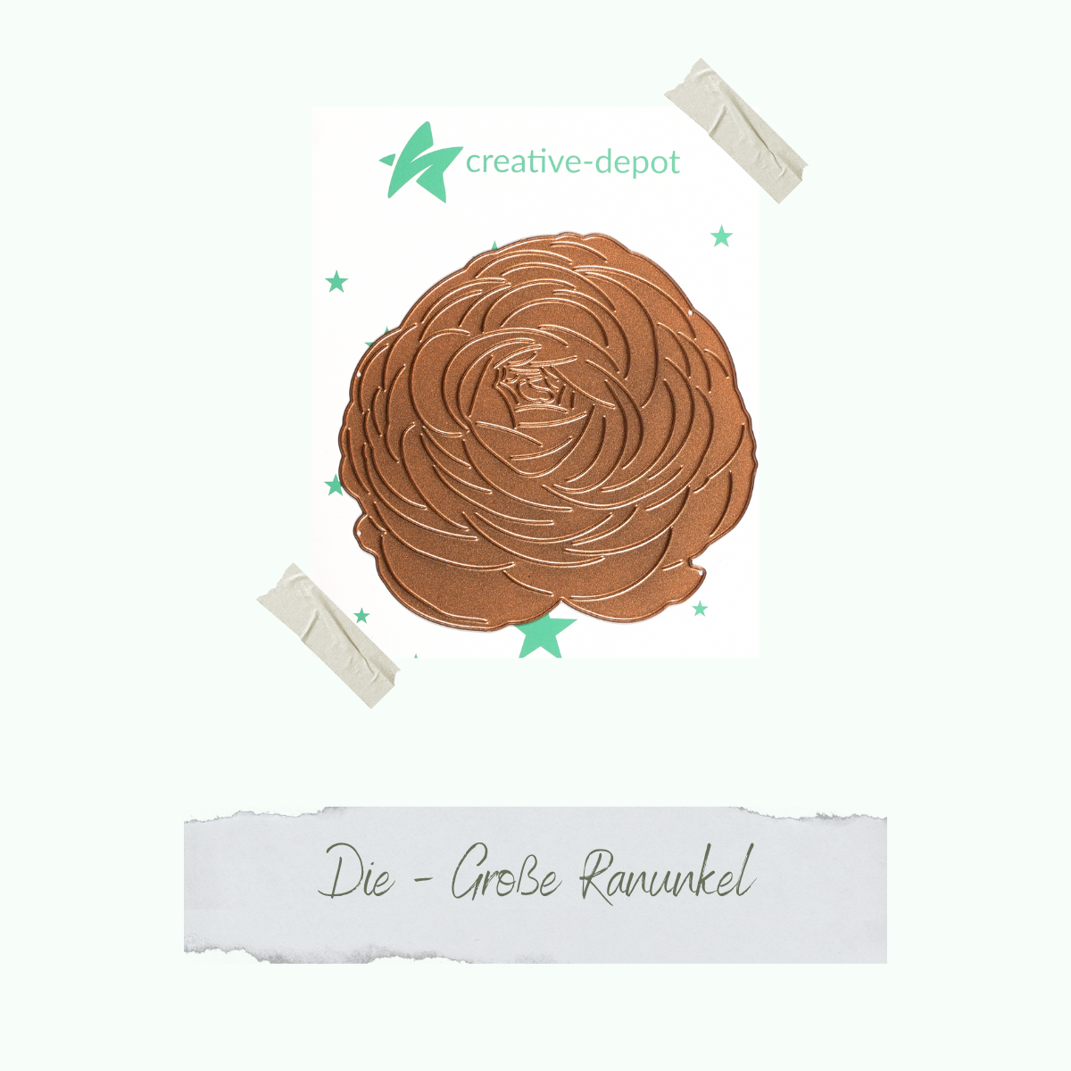 CD-Die-1310_Die-Grosse-Ranunkel