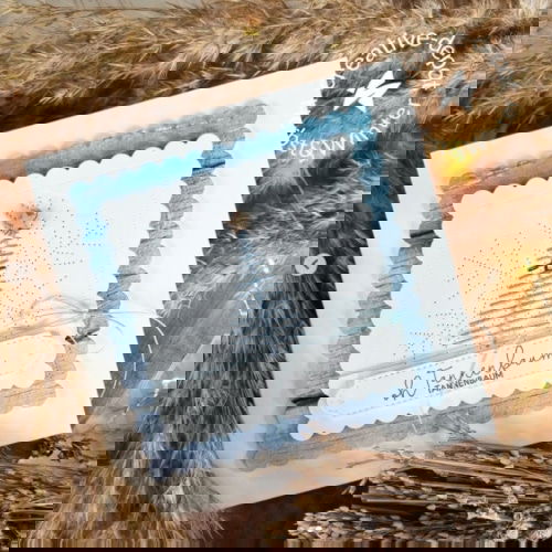 120210811T103058 1 - 2021-08-11T103058.022
