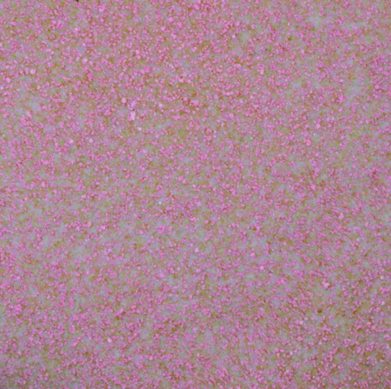 Marshmallow-Fizz-1
