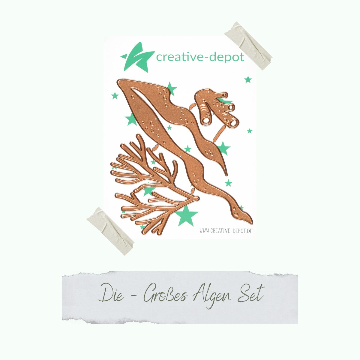 CD-Die-1231_Die-Grosses-Algen-Set