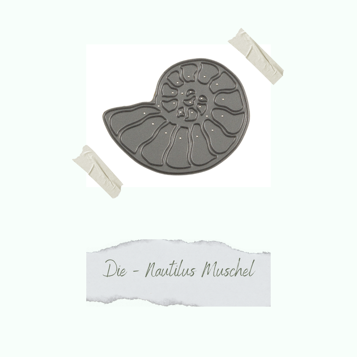 CD-Di-162_Die-Nautilus-Muschel Die - Nautilus Muschel