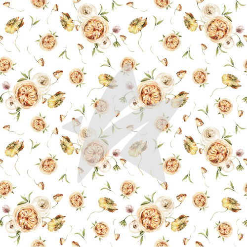 RanunkelnApricot ranunkeln apricot