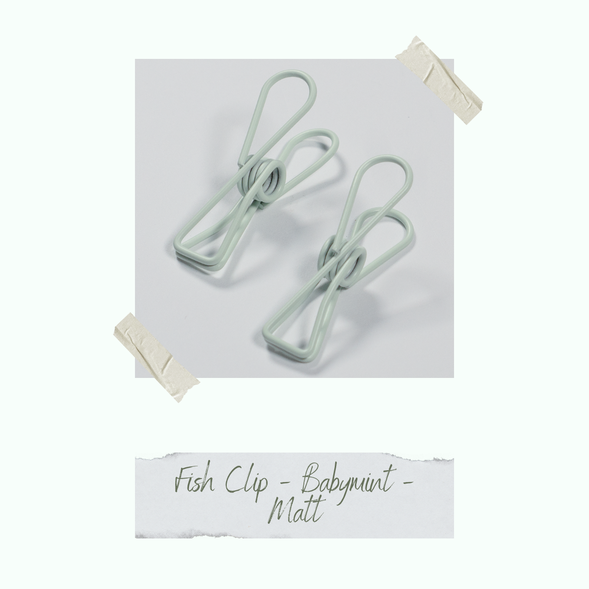 CD-ZB-046_Fish-Clip-Babymint-Matt