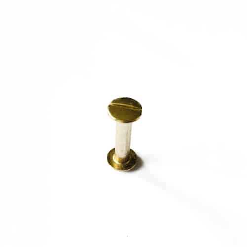 Buchschraube20mmGold Buchschraube - 20mm - Gold