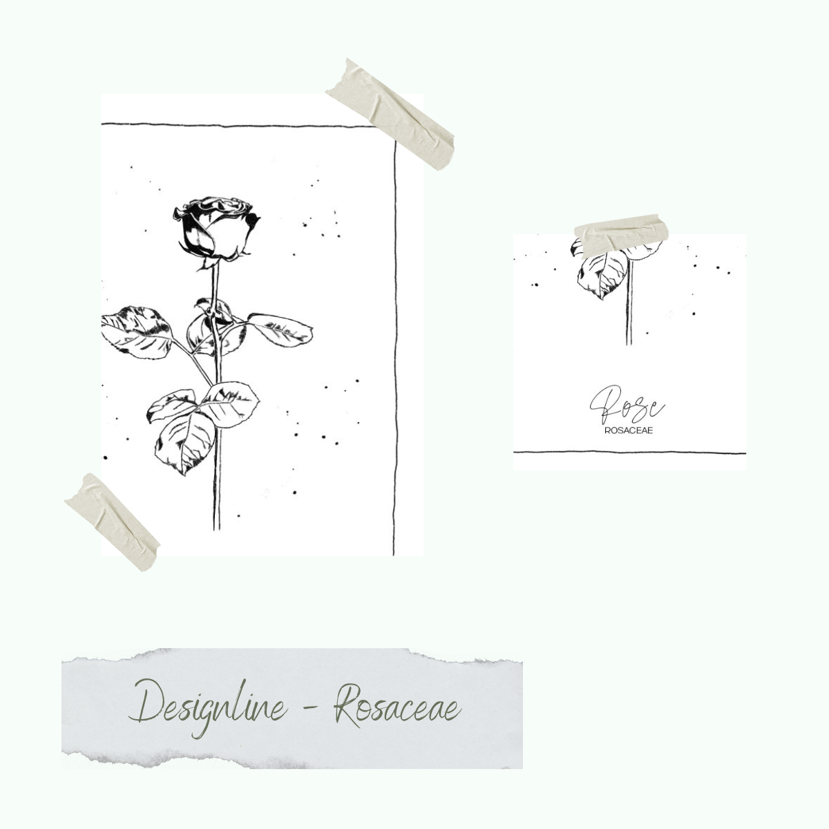 CD-Stt-1468 Stempelset - Designline - Rosaceae