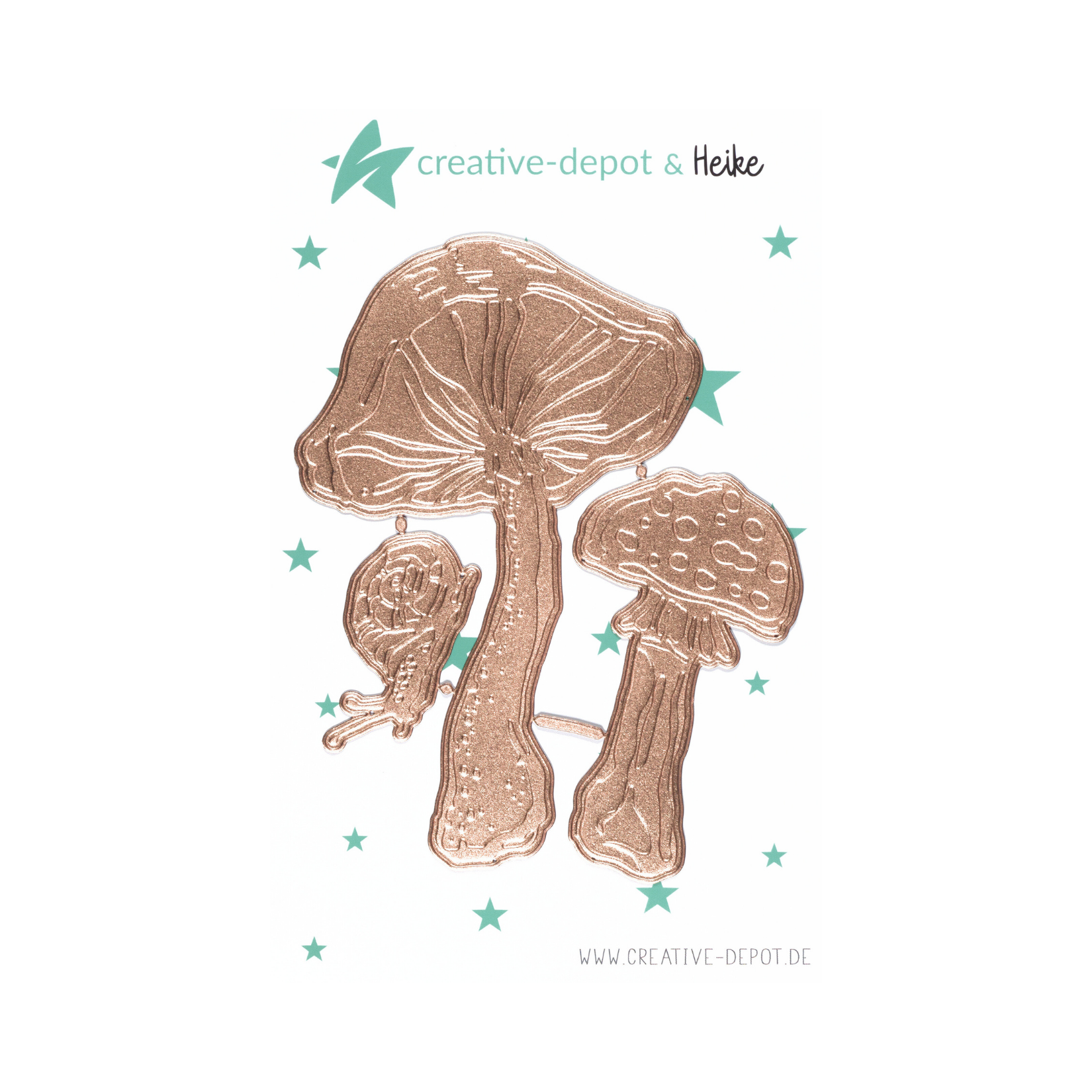 Die - Pilze und Schnecke