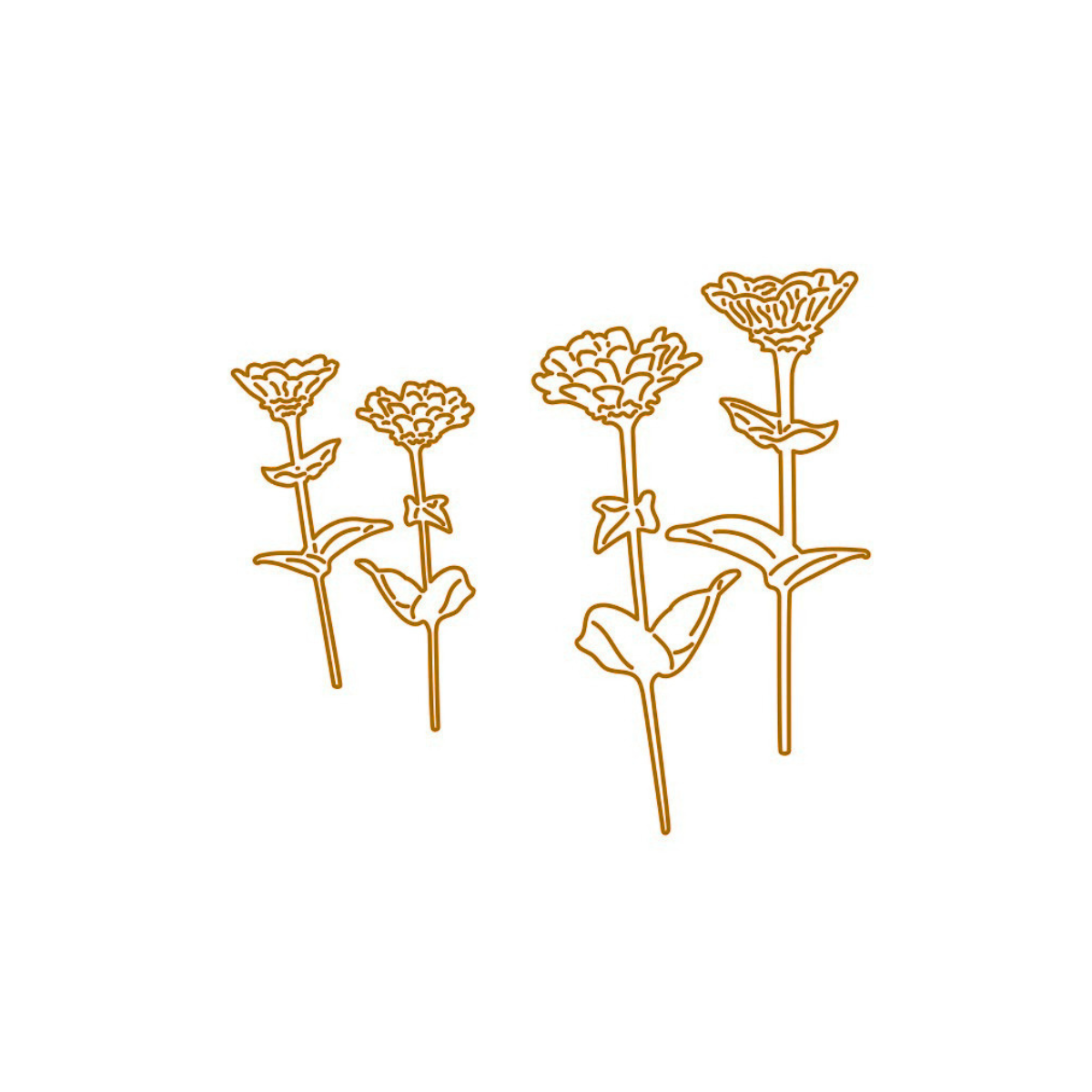 Le - Zinnien-Set