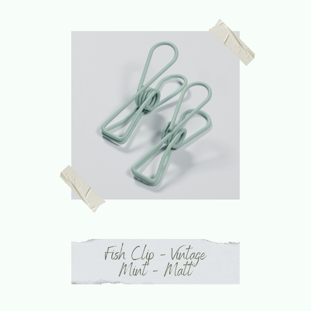 CD-ZB-047_Fish-Clip-Vintage-Mint-Matt