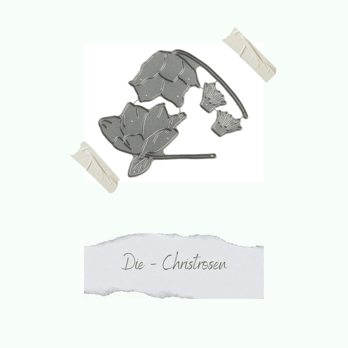 CD-Di-501_Die-Christrosen