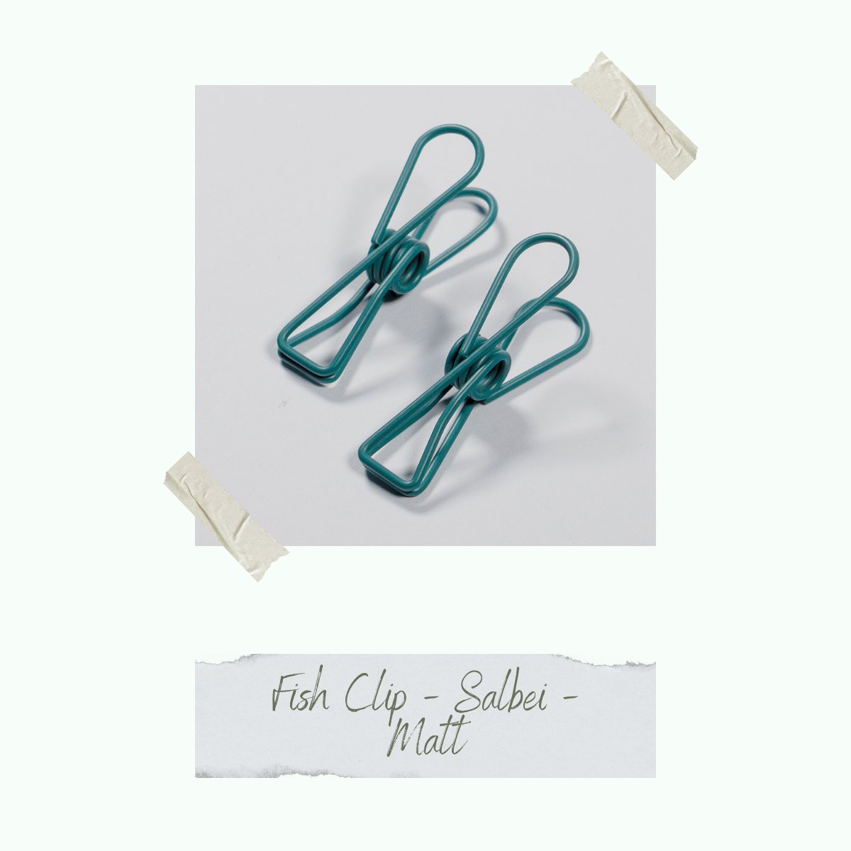 CD-ZB-038_Fish-Clip-Salbei-Matt