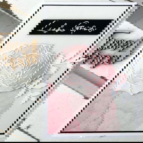 120210419T113855 Die - Rose