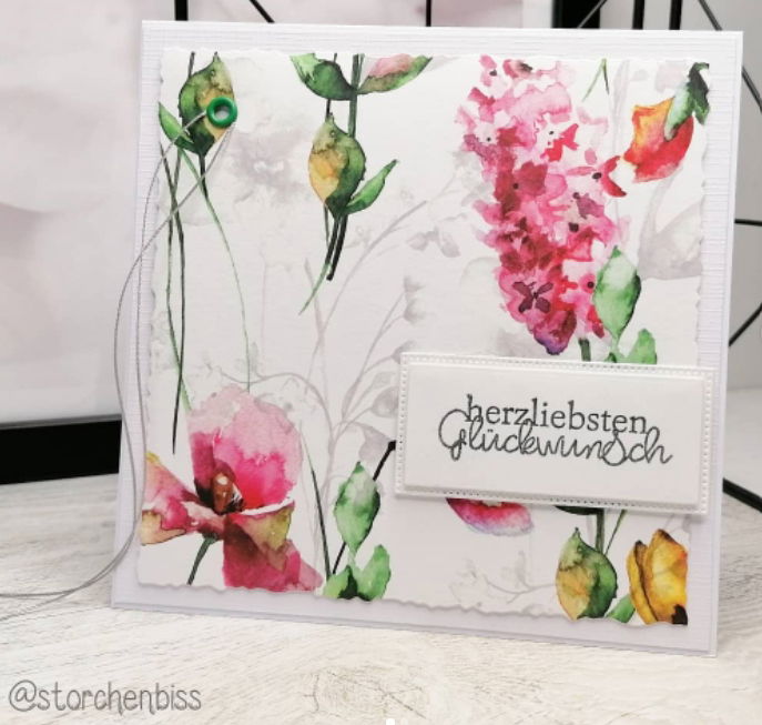 Sommergarten-neu-Jessica