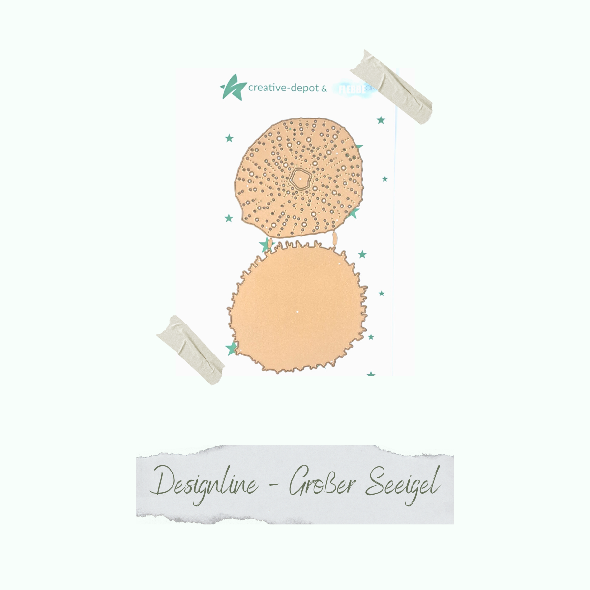 CD-Di-930-Designline-Grosser-Seeigel