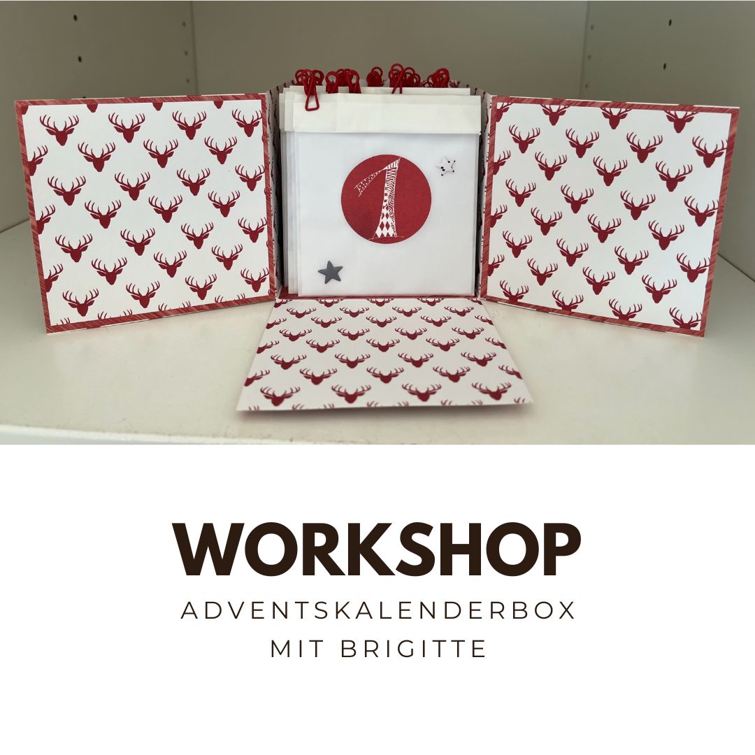 Zoom Workshop Adventskalenderbox mit Brigitte am 05.11.2026