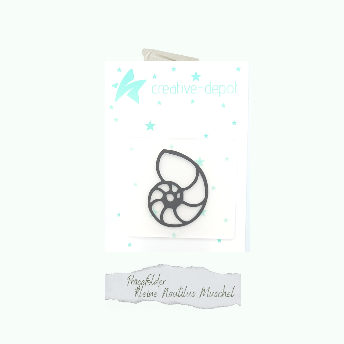 CD-PF-Kleine-Nautilus-Muschel Chemise à gaufrer - Petite coquille de nautile - 6 x 7 cm