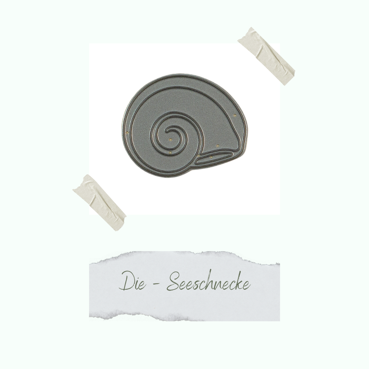 CD-Di-277_Die-Seeschnecke Die - Seeschnecke - Nur noch so lange der Vorrat reicht