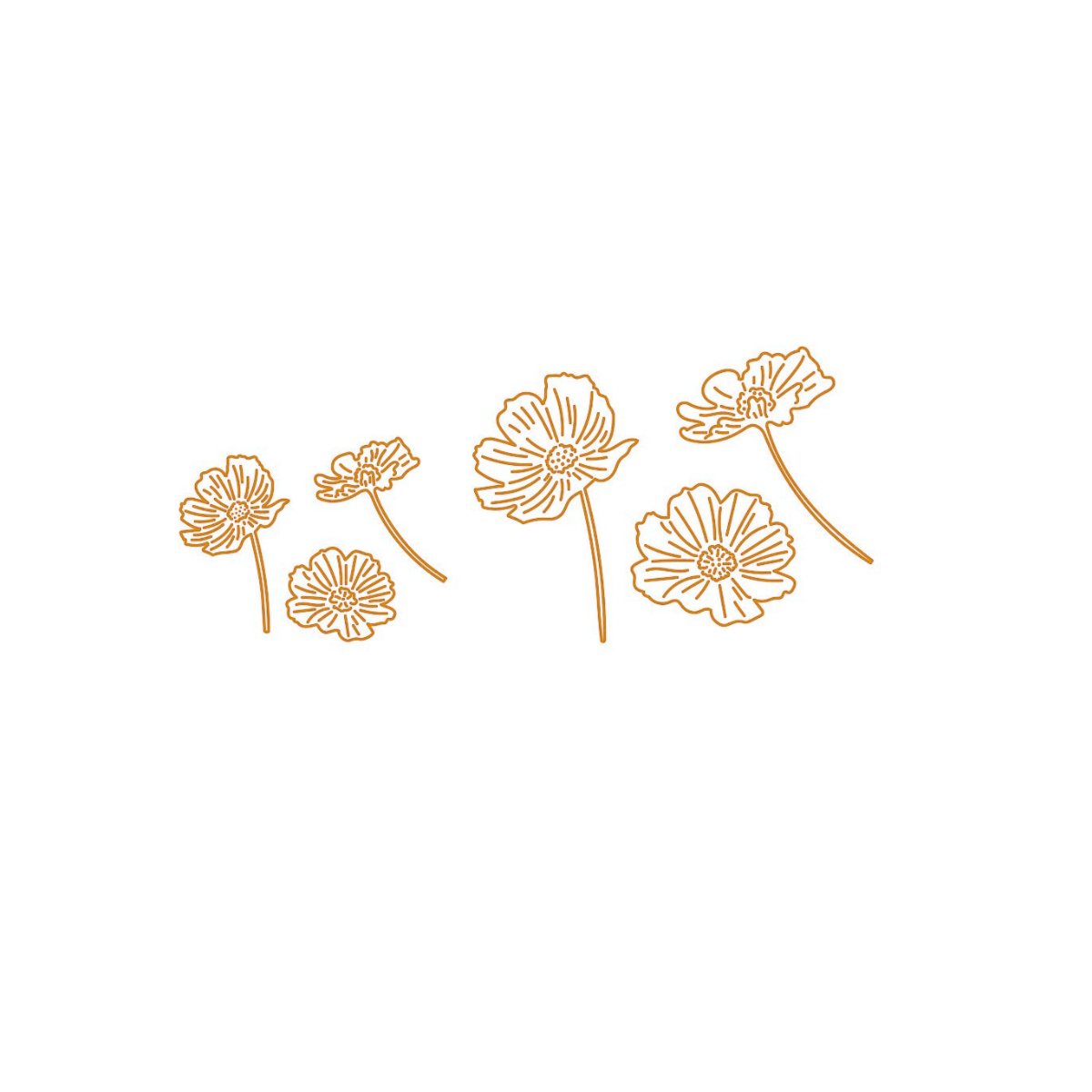 Die - Schmuckkörbchen - Cosmea