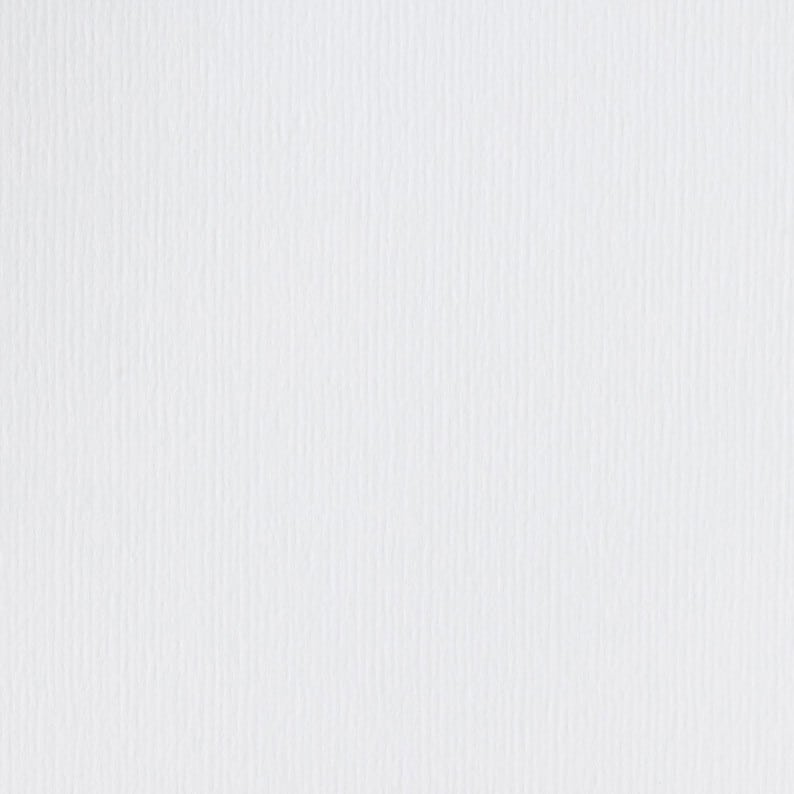 cardstock_hagelwit_schneeweiss cardstock_hagelwit_schneeweiss