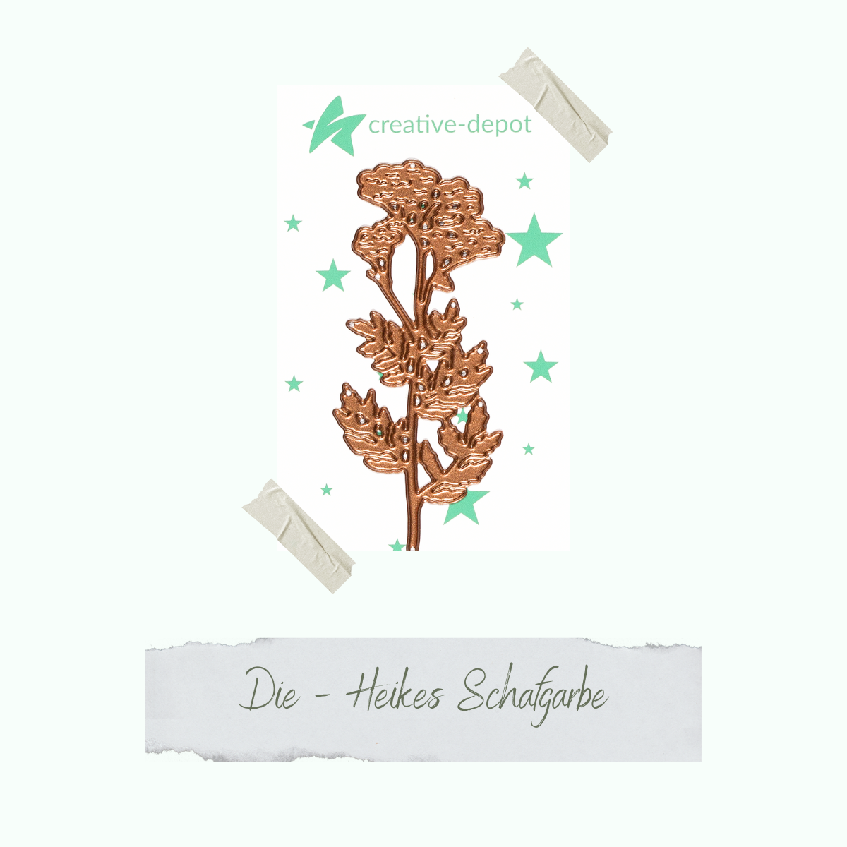 CD-Die-1363_Die-Heikes-Schafgarbe