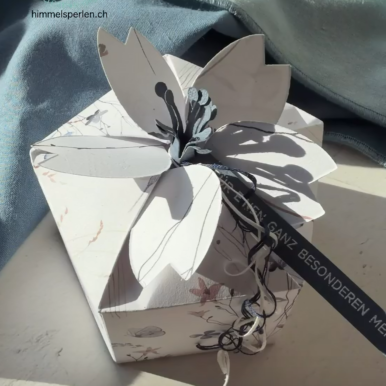 La - boîte à fleurs