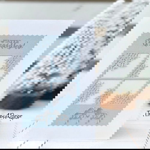 1cfc7321f8b5419380f2cc82cb4c9ea7 CD-Di-511