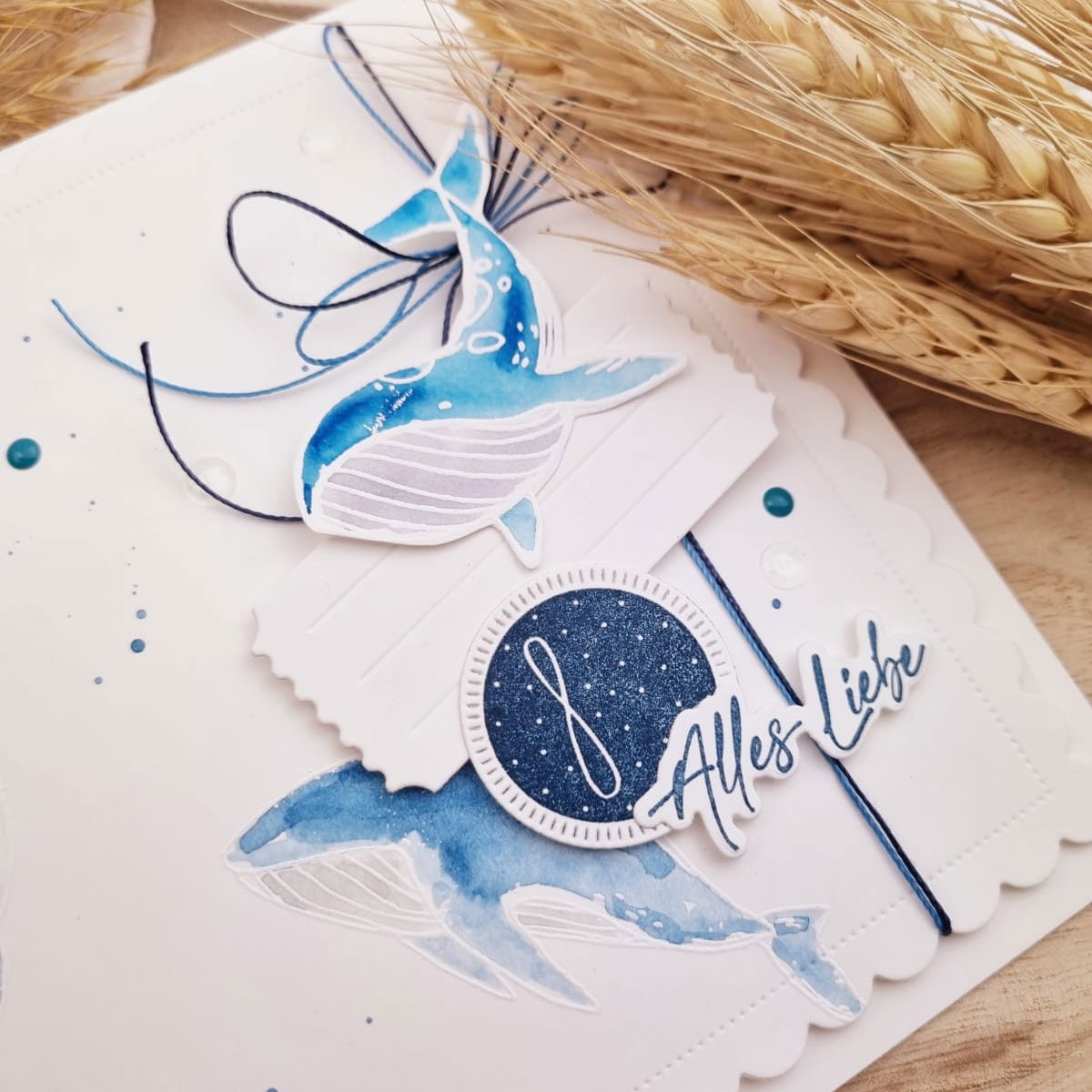 3105b7b4-07fe-4d20-8590-d6b9ed500aa3