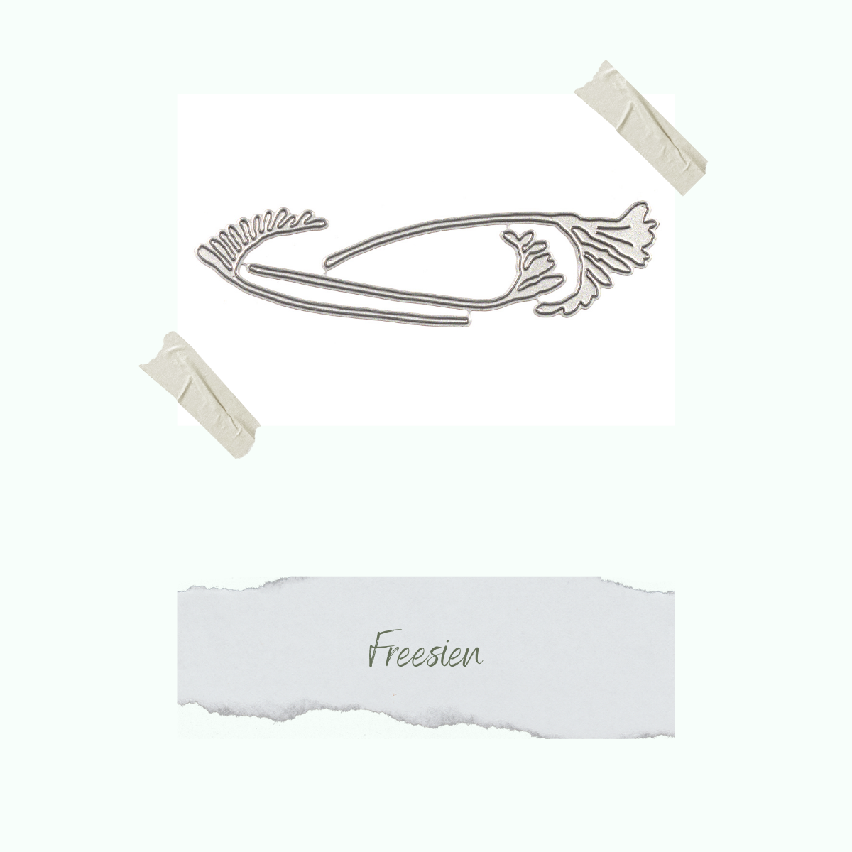 CD-Di-634_Freesien