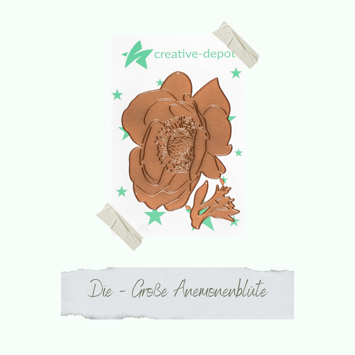 CD-Die-1293_Die-Grosse-Anemonenbl-te