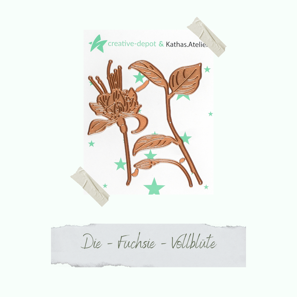CD-Die-1257_Die-Fuchsie-Vollbl-te