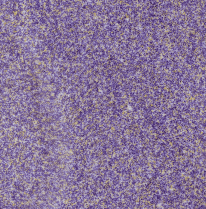 Plum-Fizz-1