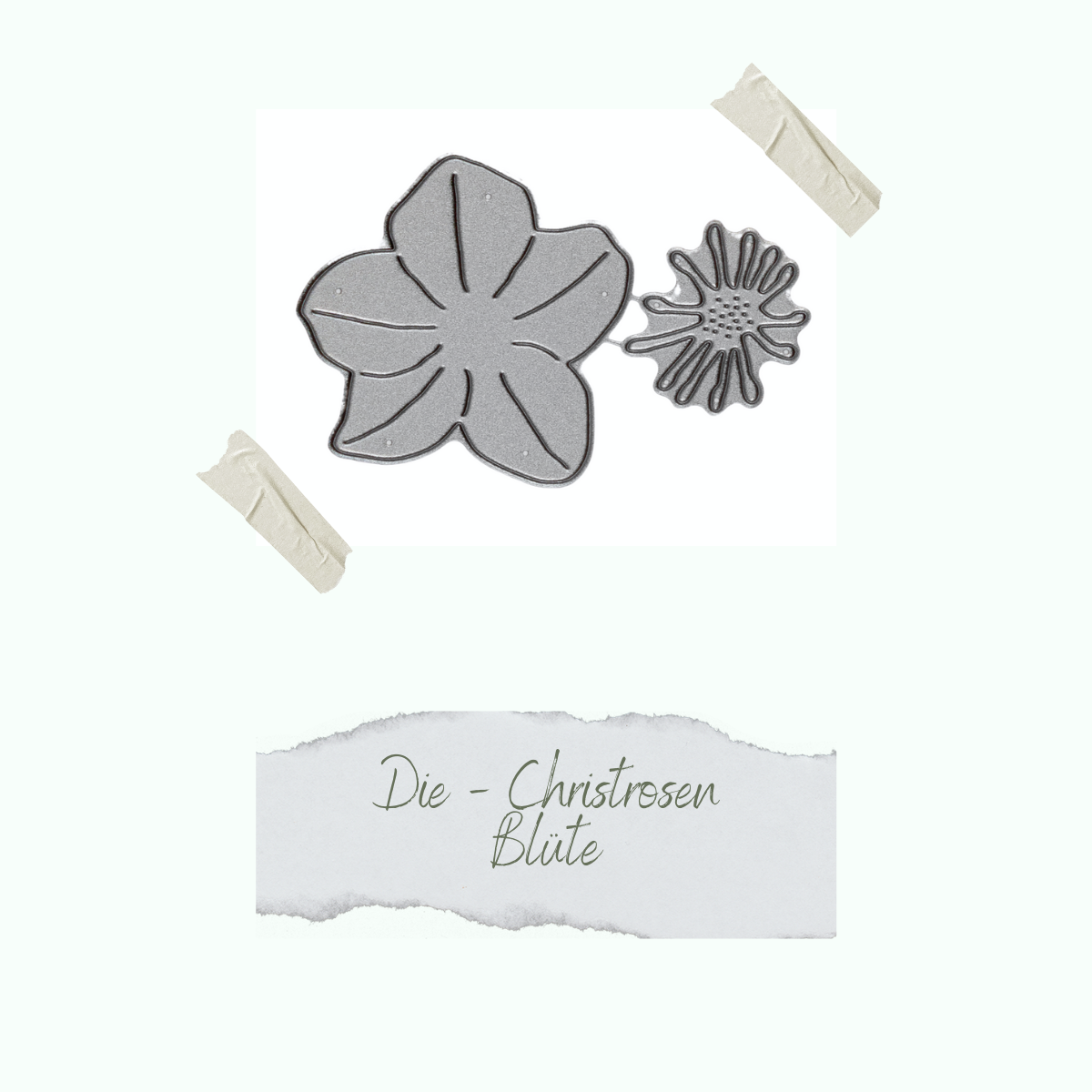 CD-Di-499_Die-Christrosen-Bl-te
