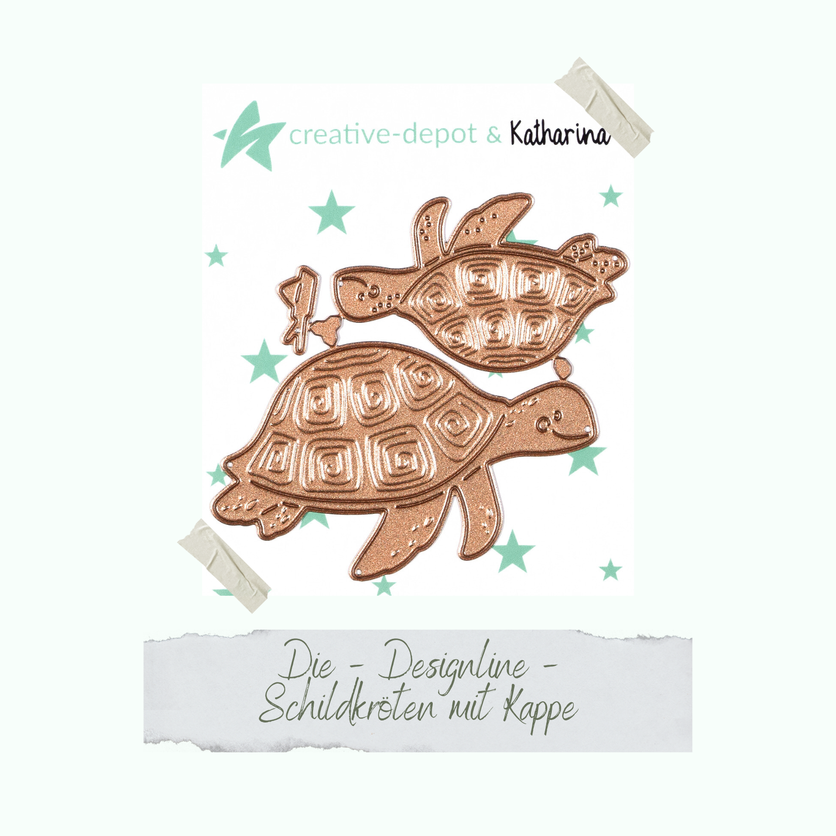 Die - Schildkröten mit Kappe