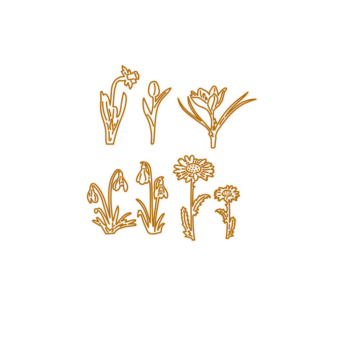 Die - Kleine Frühlingsblumen 