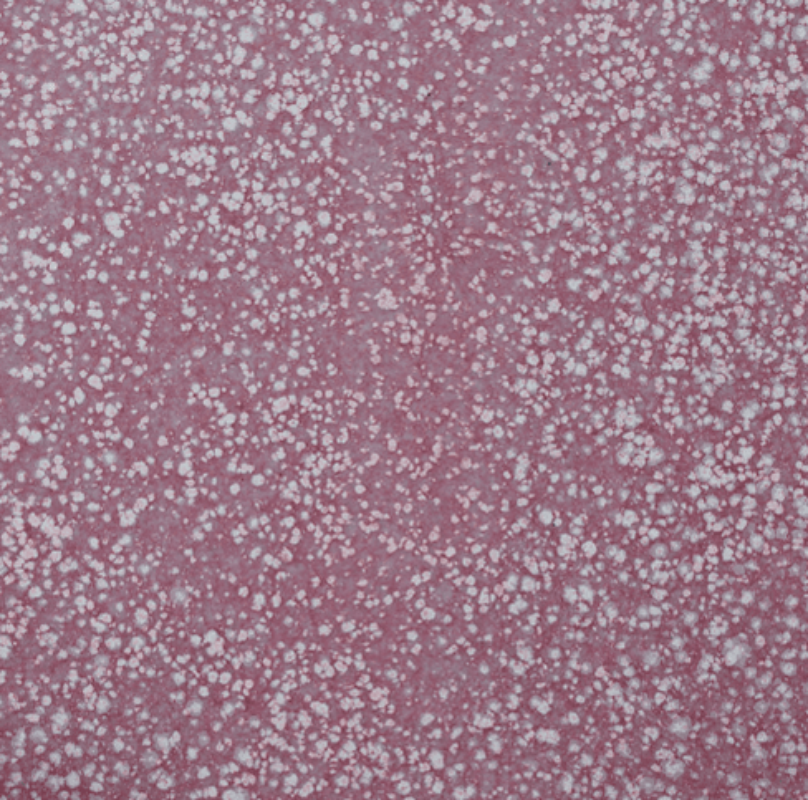 Dappled-Coral-1
