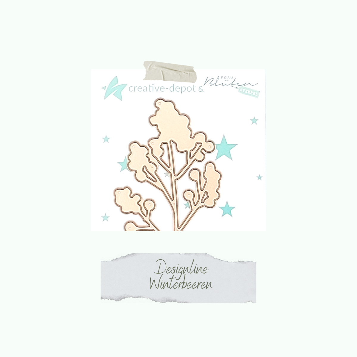CD-DI-716-Winterbeeren