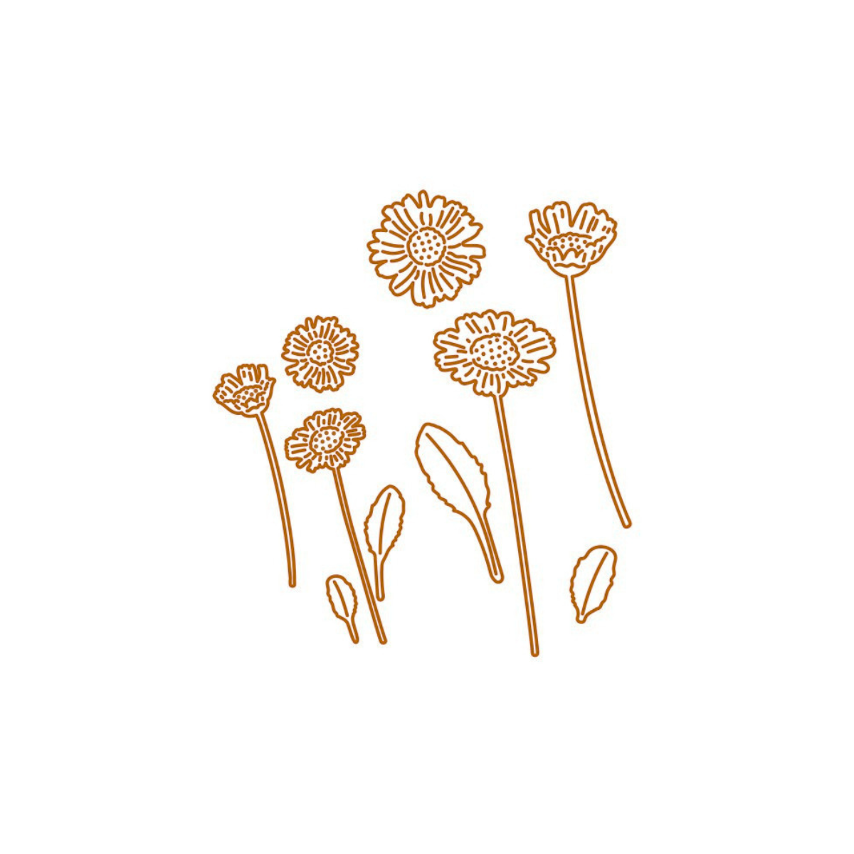 Die - Gänseblümchen - Set
