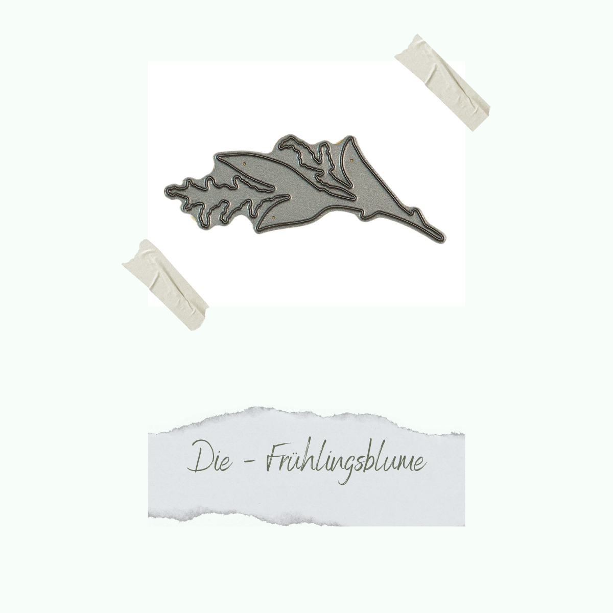 CD-Di-379_Die-Fr-hlingsblume