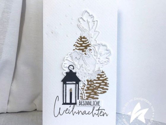 120201109T122259 Die - Tannenzapfen - negativ