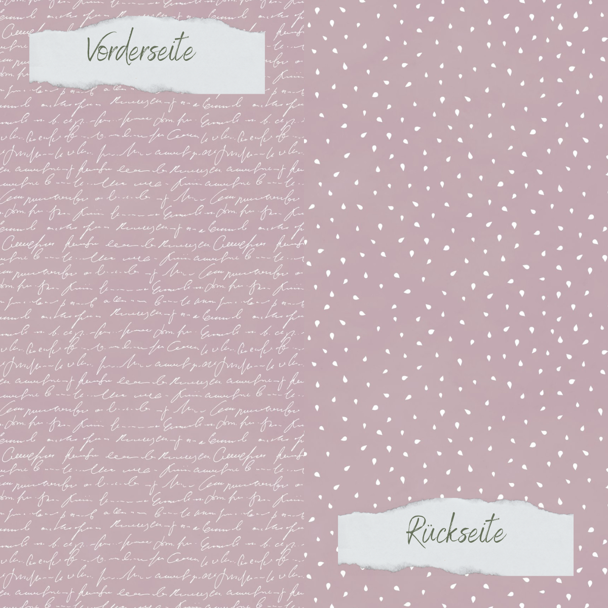 Papel de diseño - Basic - Heide - Apfelkernchen + Schrift - Doppelseitig bedruckt Papel de diseño - Basic - Heide - Apfelkernchen + Schrift - Doppelseitig bedruckt