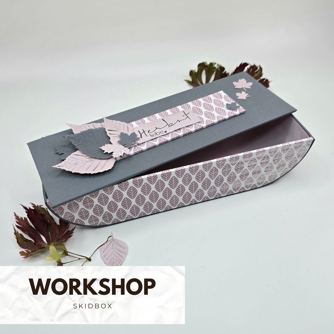 Workshop Skidbox 10.10.2025