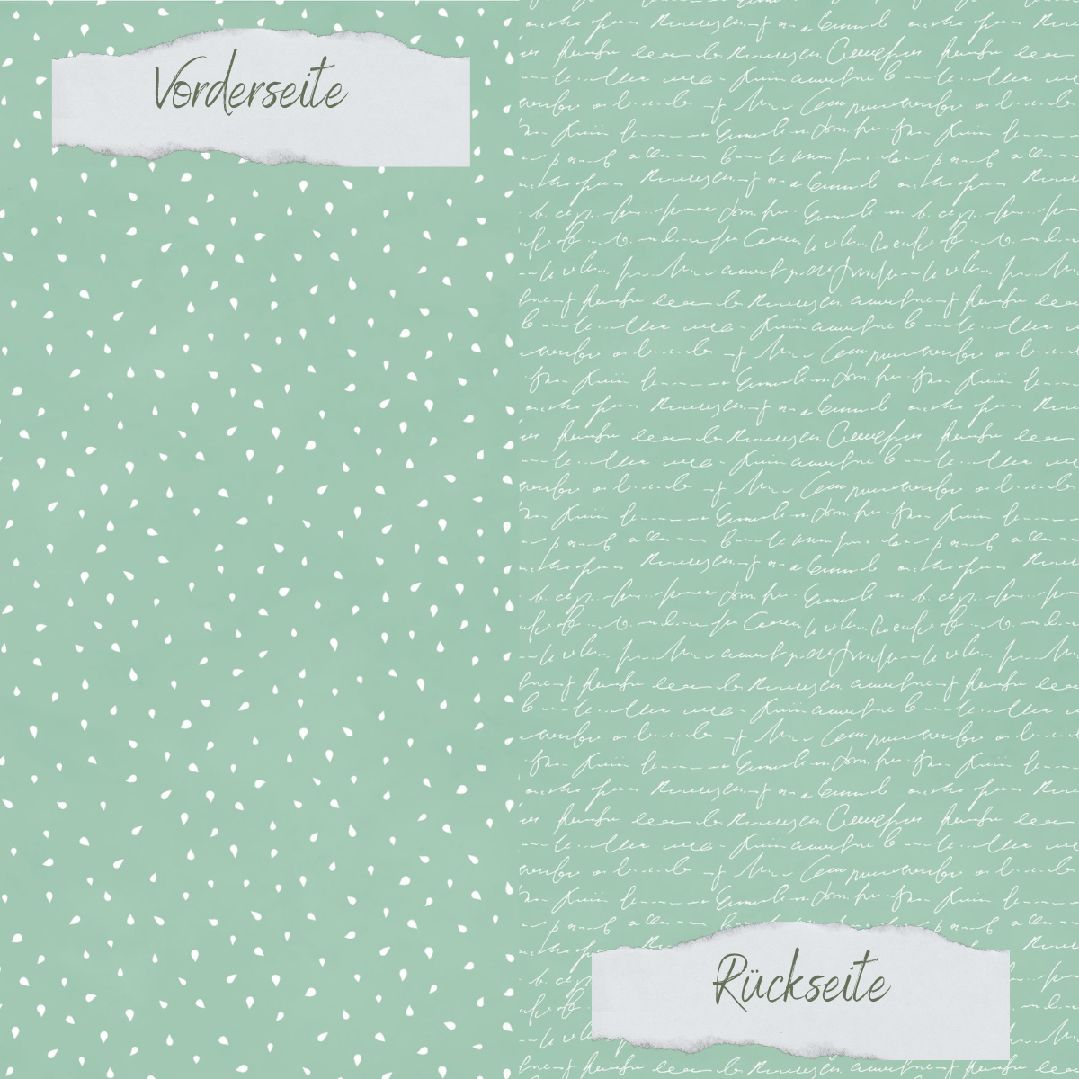 Papel de diseño - Basic - Eukalyptus - Apfelkernchen + Schrift - Doppelseitig bedruckt Papel de diseño - Basic - Eukalyptus - Apfelkernchen + Schrift - Doppelseitig bedruckt