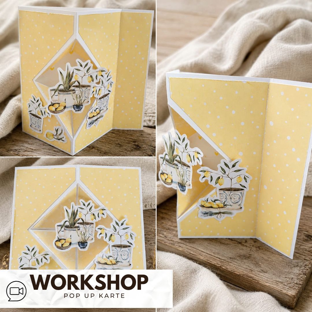 Zoom Workshop Pop up Karte am 14.09.2026